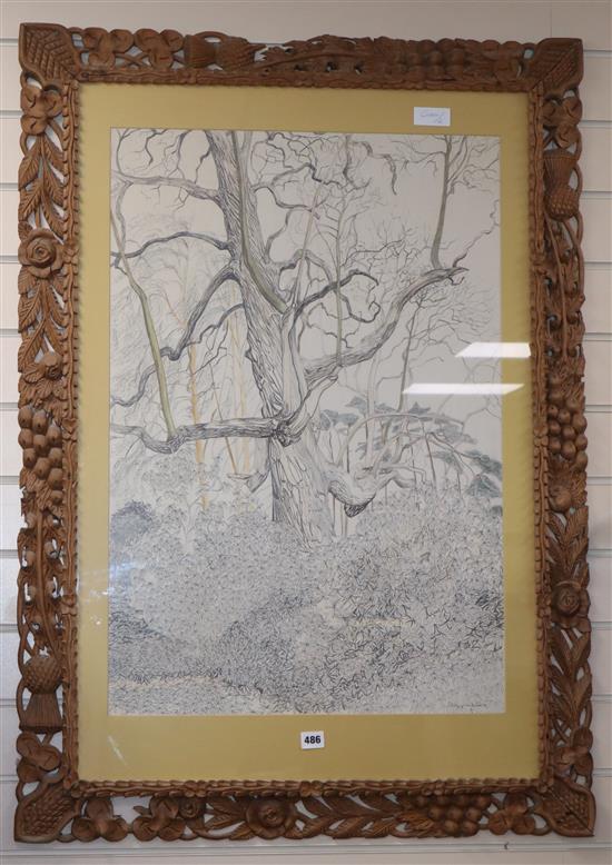 P Clarke Smith, ink and coloured pencil, study of woodland, signed, 79 x 54cm, carved pine frame